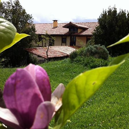 Apikale Guest House Ea Bagian luar foto