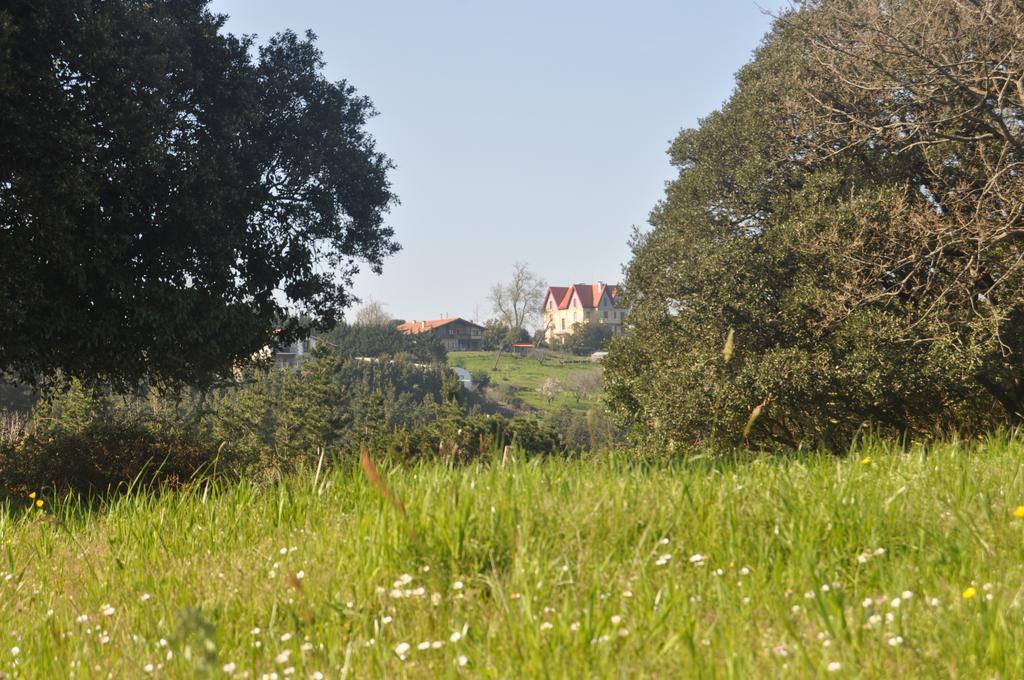 Apikale Guest House Ea Bagian luar foto
